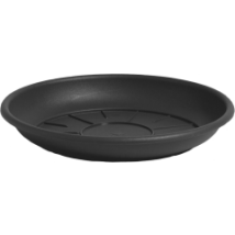 Plato paraagua diámetro 20 cm