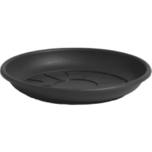 Plato para agua 30 cm